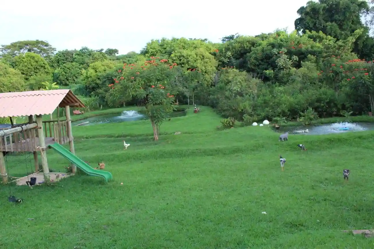 Fazenda / Sítio / Chácara com 3 quartos à venda, 7000m² — foto 4 de 8