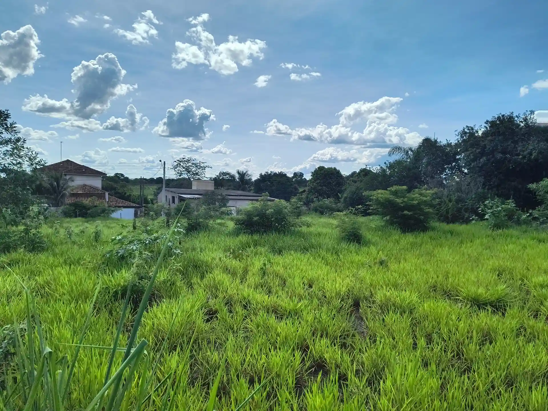 Área Comercial  à venda — foto 10 de 10