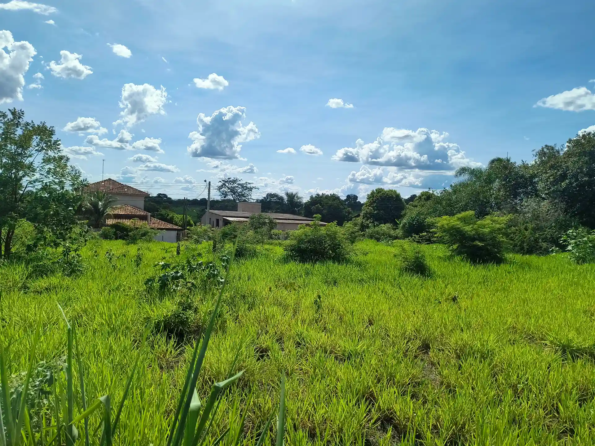 Área Comercial  à venda — foto 8 de 10