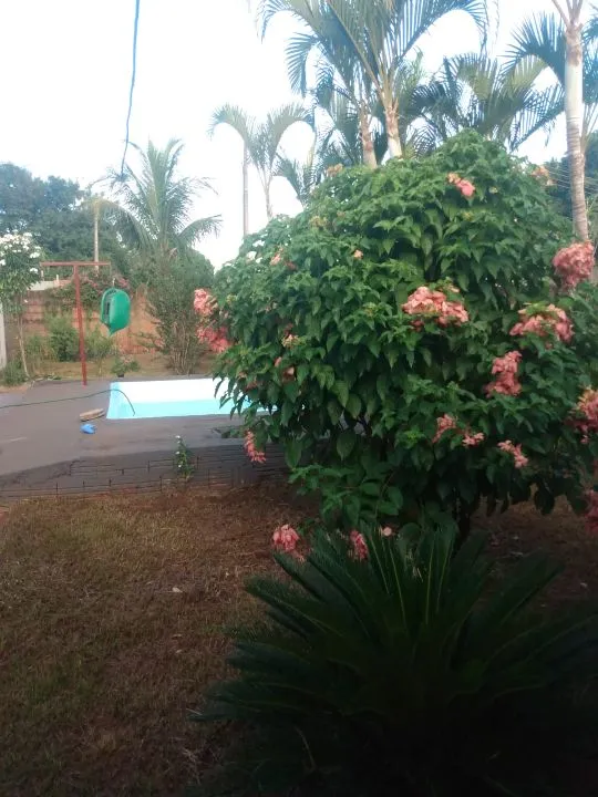 Fazenda / Sítio / Chácara à venda — foto 5 de 13