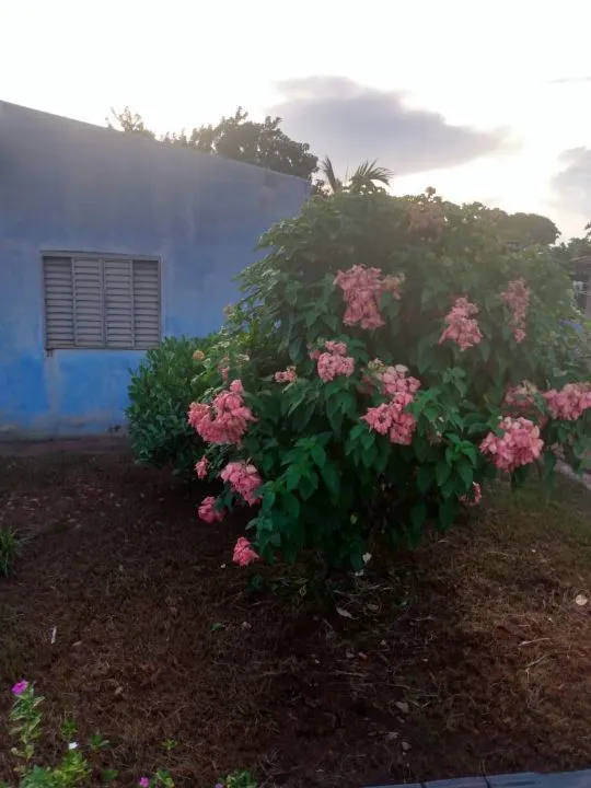 Fazenda / Sítio / Chácara à venda — foto 7 de 13