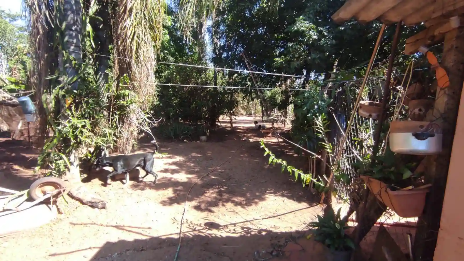 Fazenda / Sítio / Chácara  à venda, 2000m² — foto 2 de 10