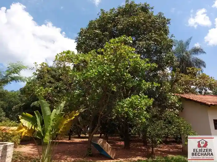 Fazenda / Sítio / Chácara com 2 quartos à venda, 2280m² — foto 7 de 26