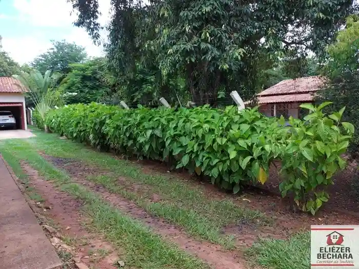 Fazenda / Sítio / Chácara com 2 quartos à venda, 2280m² — foto 23 de 26
