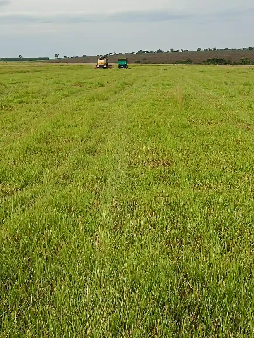 Fazenda / Sítio / Chácara  à venda, 224m² — foto 2 de 13