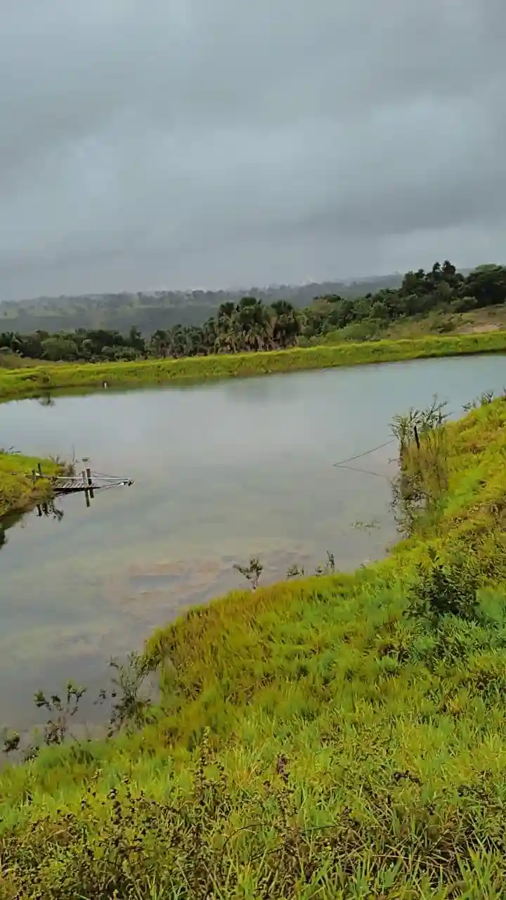 Fazenda / Sítio / Chácara  à venda, 224m² — foto 13 de 13