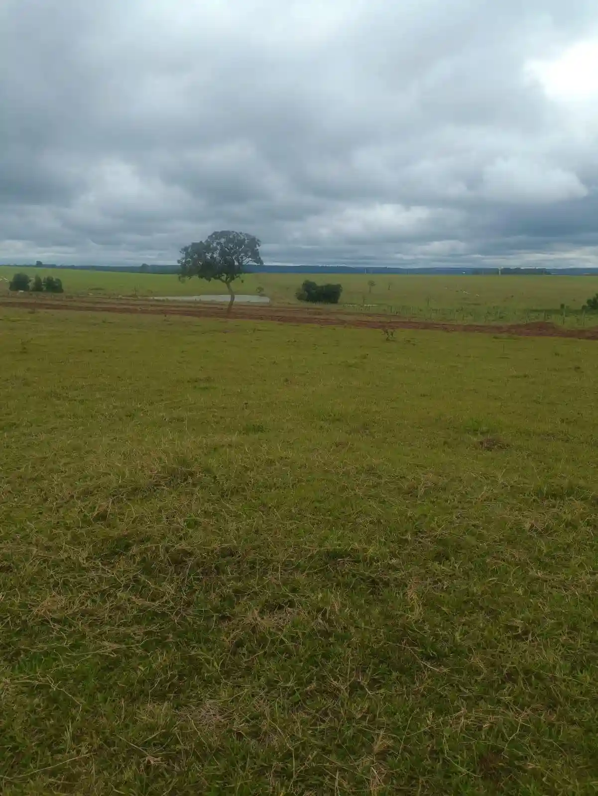 Fazenda / Sítio / Chácara  à venda, 224m² — foto 7 de 13