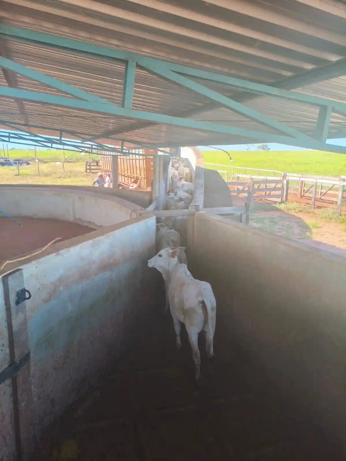 Fazenda / Sítio / Chácara  à venda, 224m² — foto 3 de 13