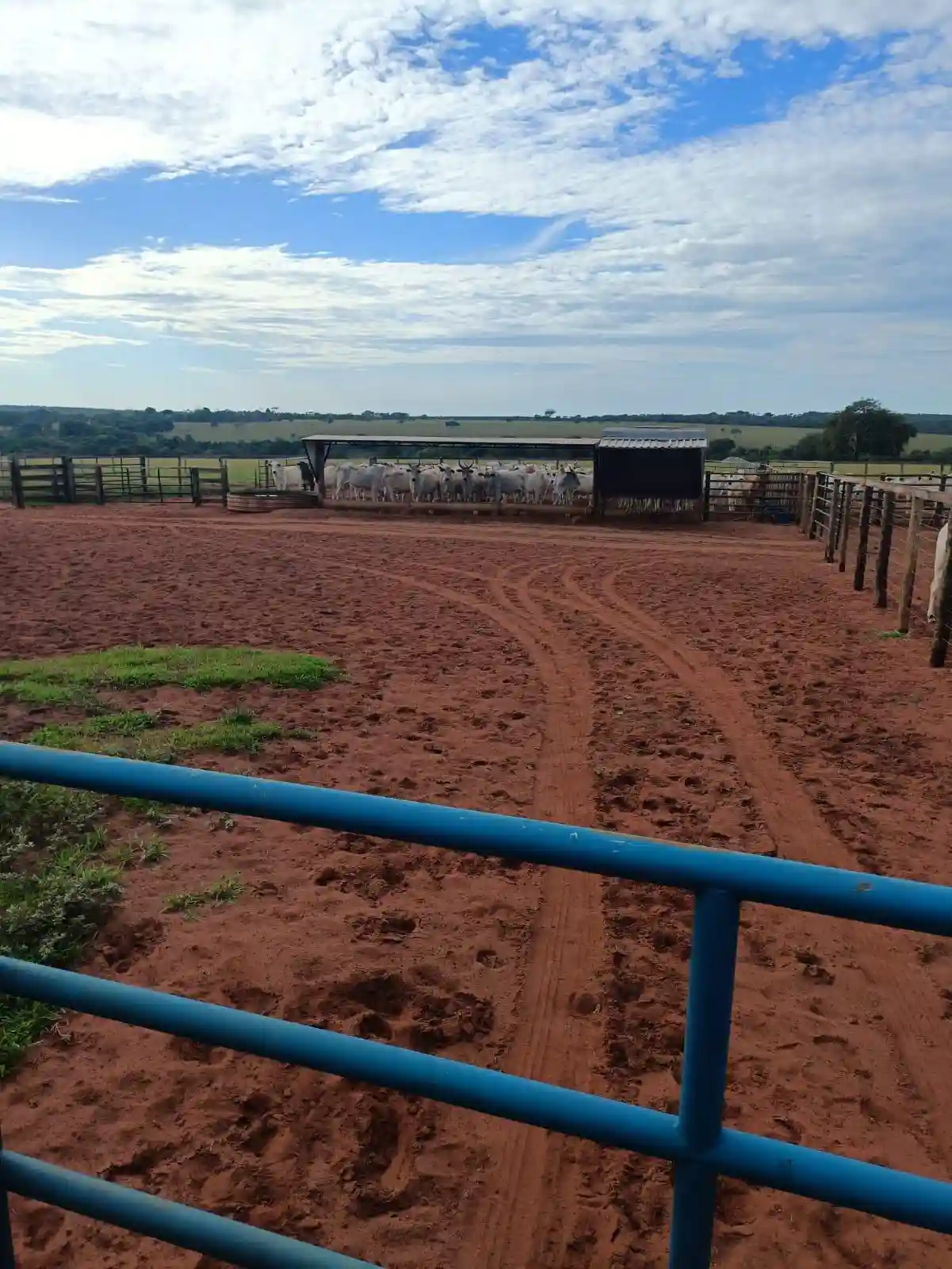 Fazenda / Sítio / Chácara  à venda, 224m² — foto 5 de 13