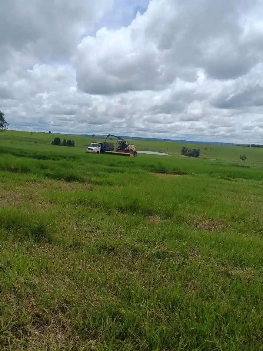 Fazenda / Sítio / Chácara  à venda, 224m² — foto 11 de 13