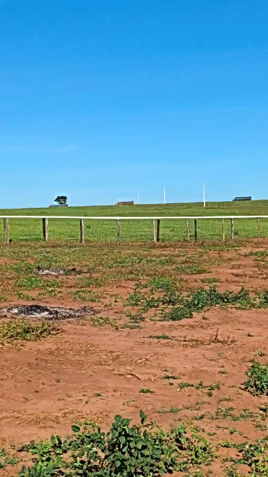 Fazenda / Sítio / Chácara  à venda, 224m² — foto 4 de 13
