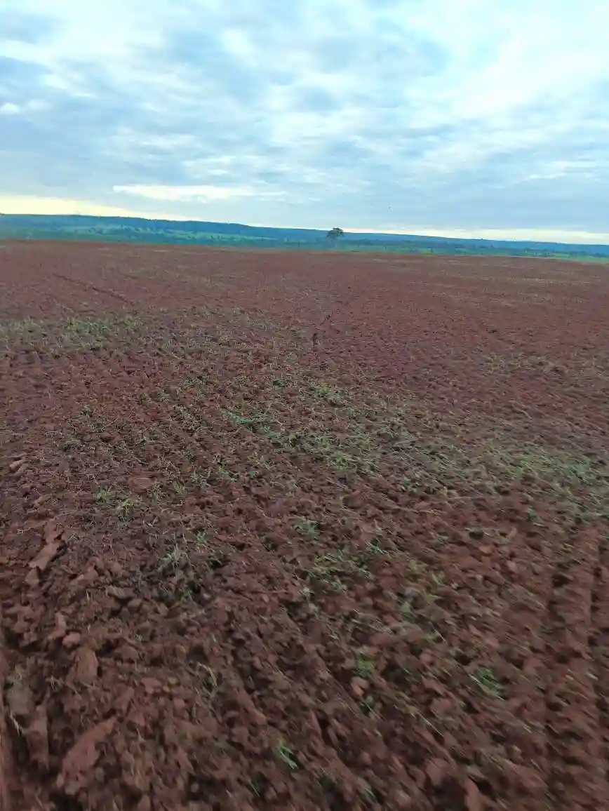 Fazenda / Sítio / Chácara  à venda, 224m² — foto 8 de 13