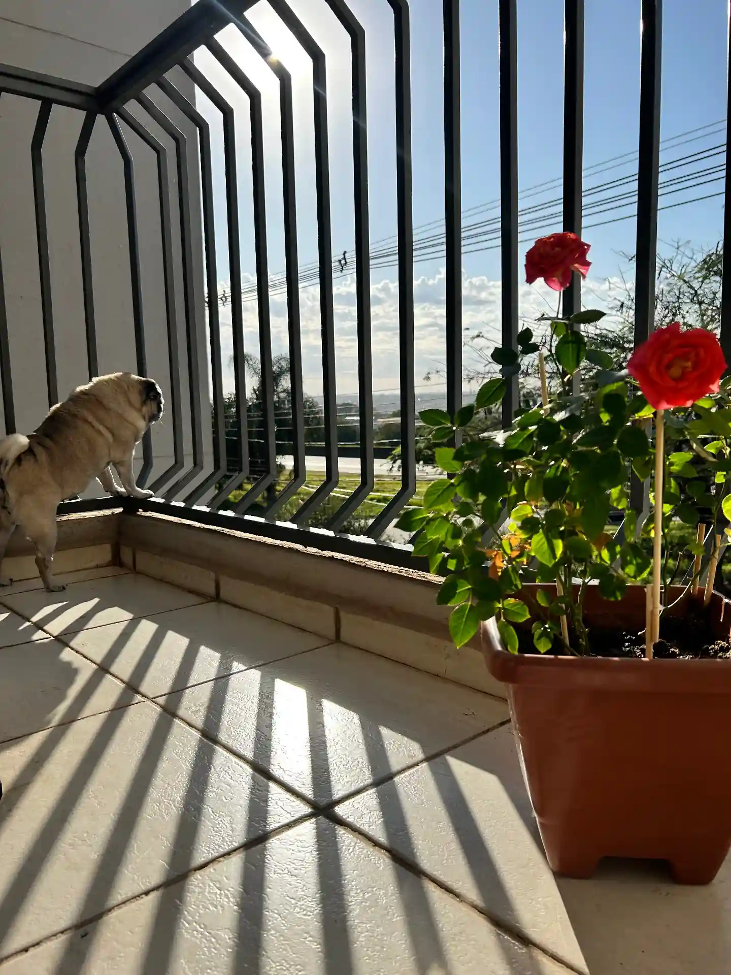 Apartamento com 3 quartos à venda, 100m² — foto 19 de 49
