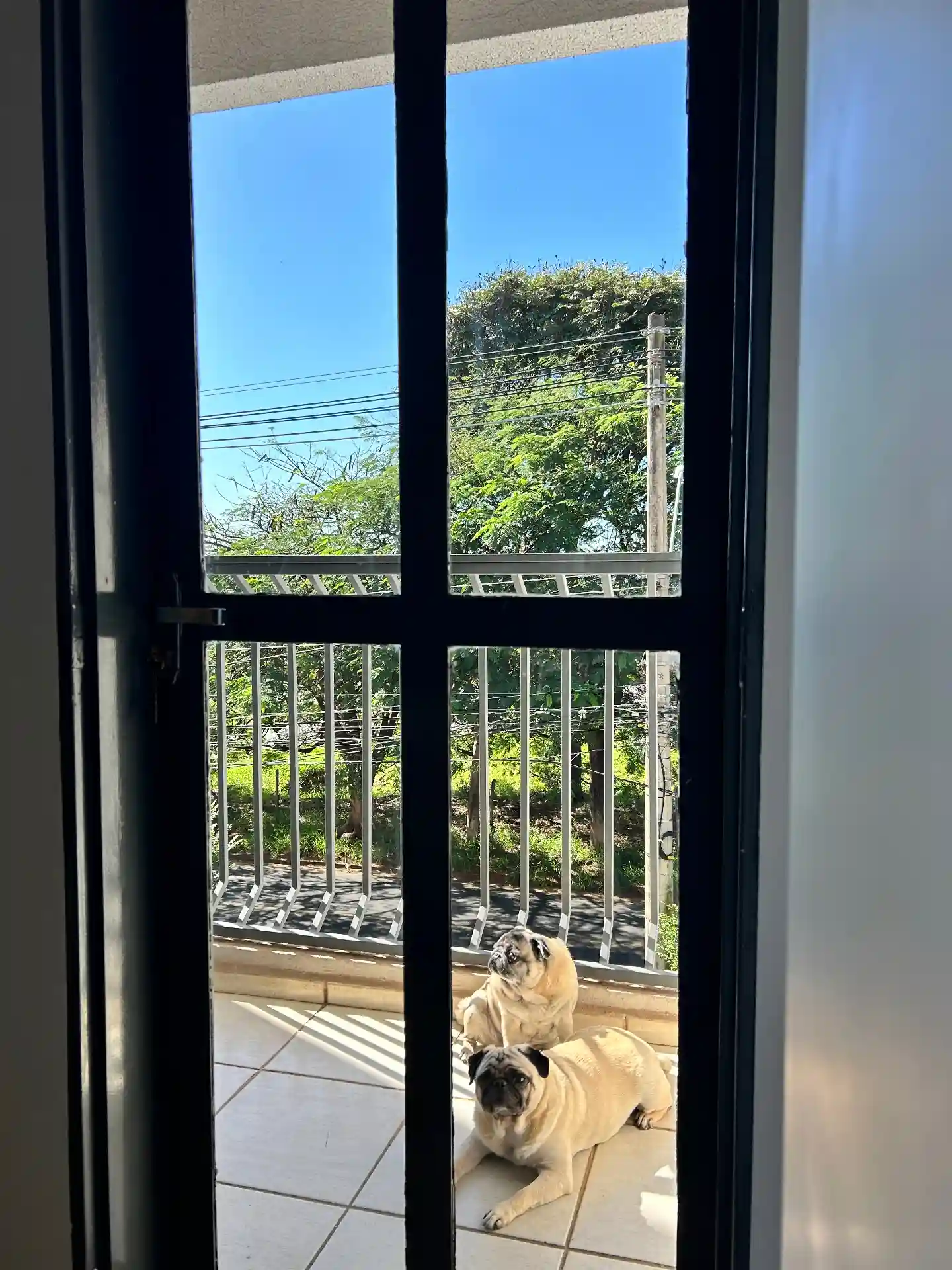 Apartamento com 3 quartos à venda, 100m² — foto 20 de 49