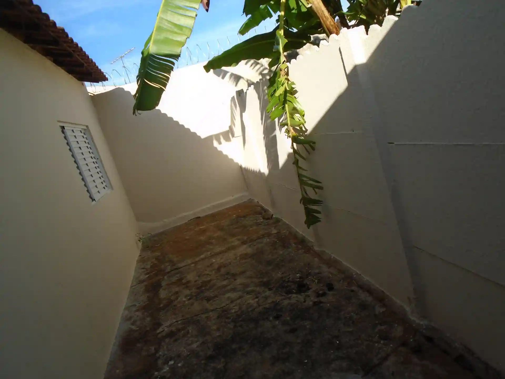 Casa com 1 quarto para aluguel, 30m² — foto 5 de 14