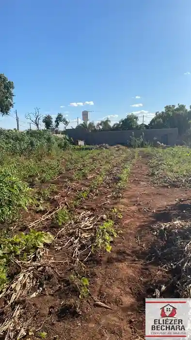 Fazenda / Sítio / Chácara à venda — foto 4 de 6