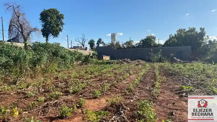 Fazenda / Sítio / Chácara à venda — foto 3 de 6