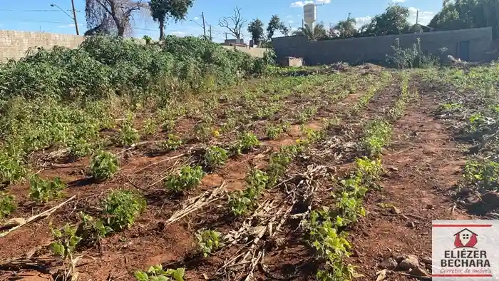 Fazenda / Sítio / Chácara à venda — foto 5 de 6