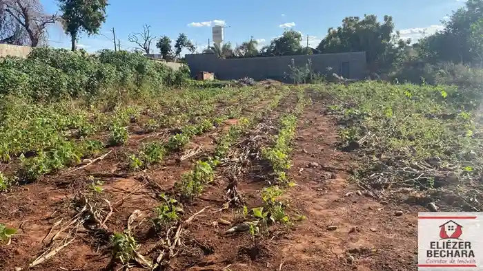 Fazenda / Sítio / Chácara à venda — foto 2 de 6