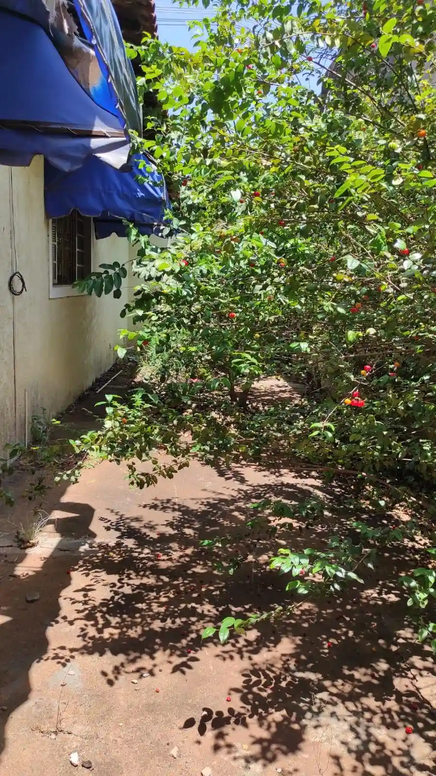 Casa Comercial  à venda, 474m² — foto 30 de 30