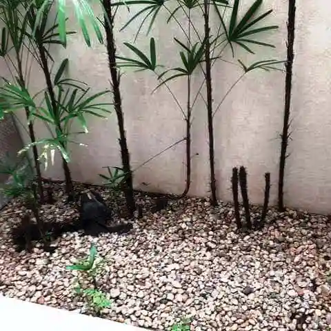 Casa de Condomínio com 3 quartos para aluguel, 180m² — foto 6 de 10