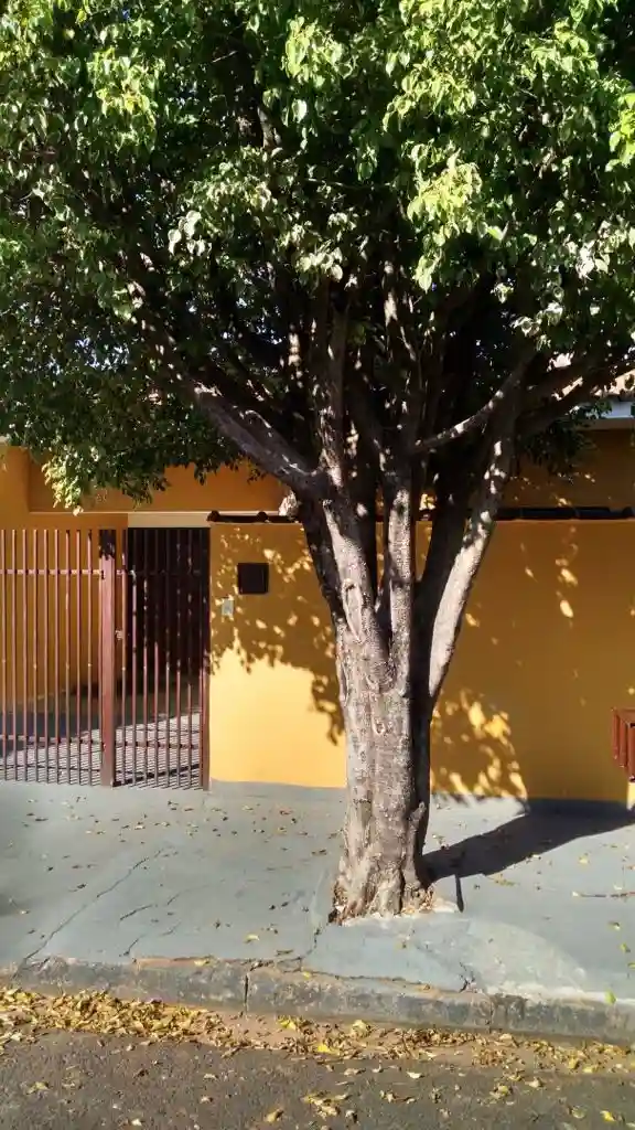 Casa à venda — foto 1 de 8