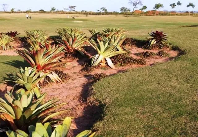Terreno / Lote / Condomínio à venda — foto 6 de 12