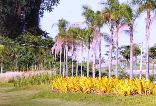 Terreno / Lote / Condomínio à venda — foto 11 de 12