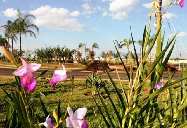 Terreno / Lote / Condomínio à venda — foto 12 de 12