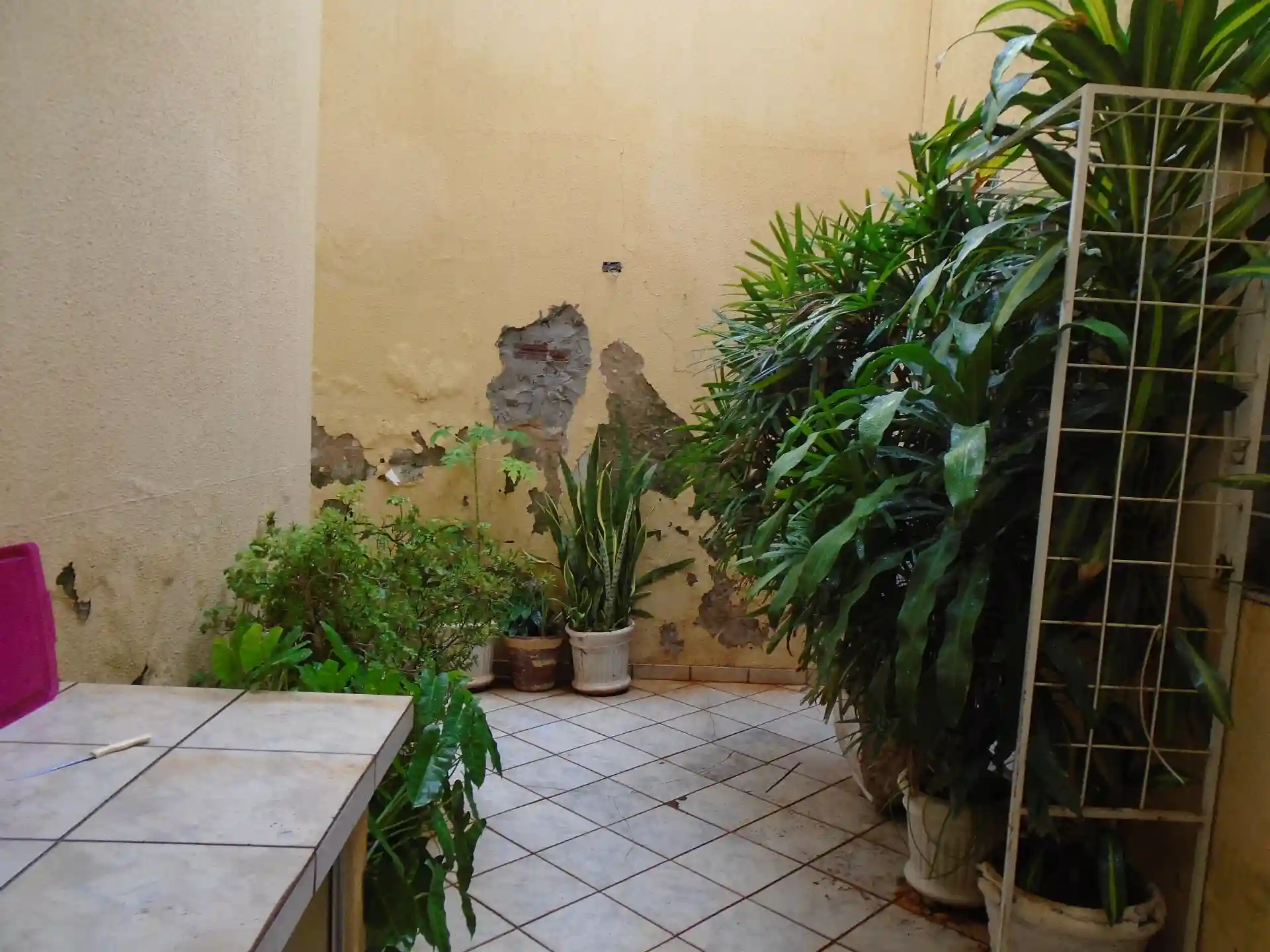 Casa com 2 quartos para aluguel — foto 12 de 17