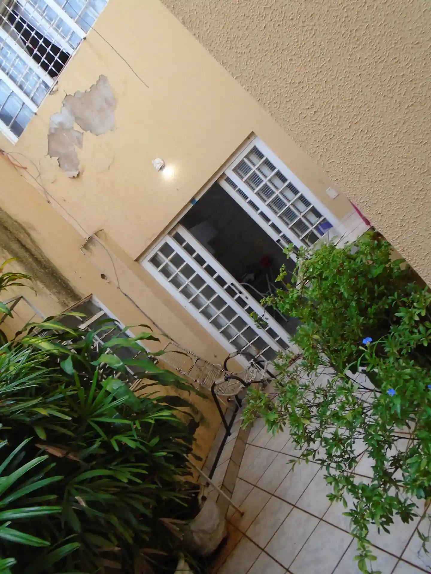 Casa com 2 quartos para aluguel — foto 13 de 17
