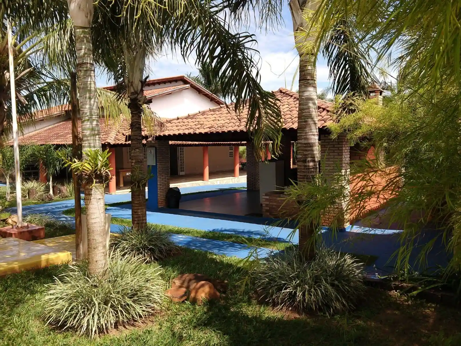 Fazenda / Sítio / Chácara com 3 quartos à venda, 1500m² — foto 13 de 16