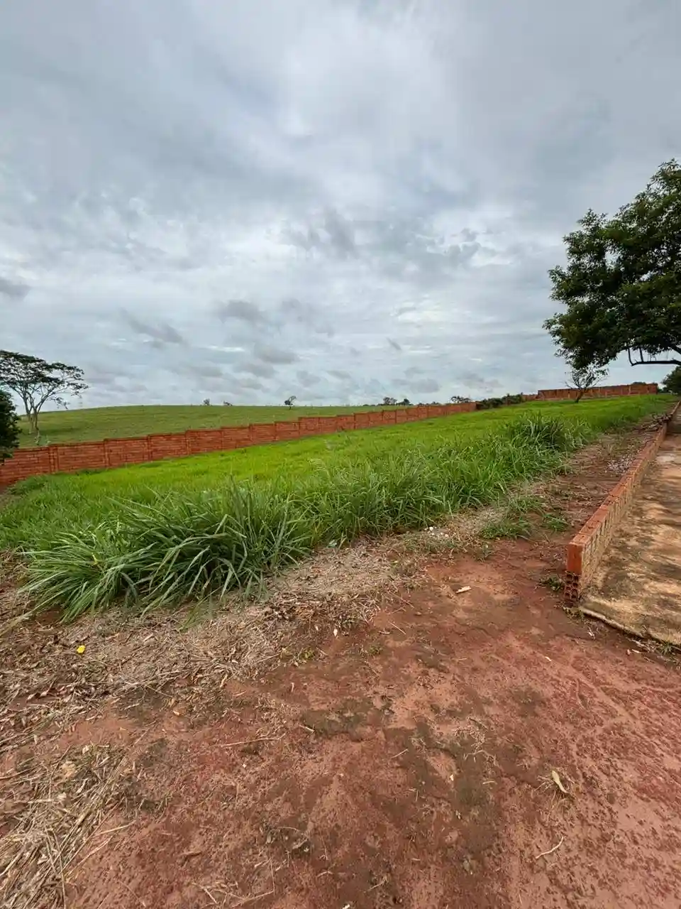 Terreno / Lote / Condomínio  à venda, 479m² — foto 3 de 3