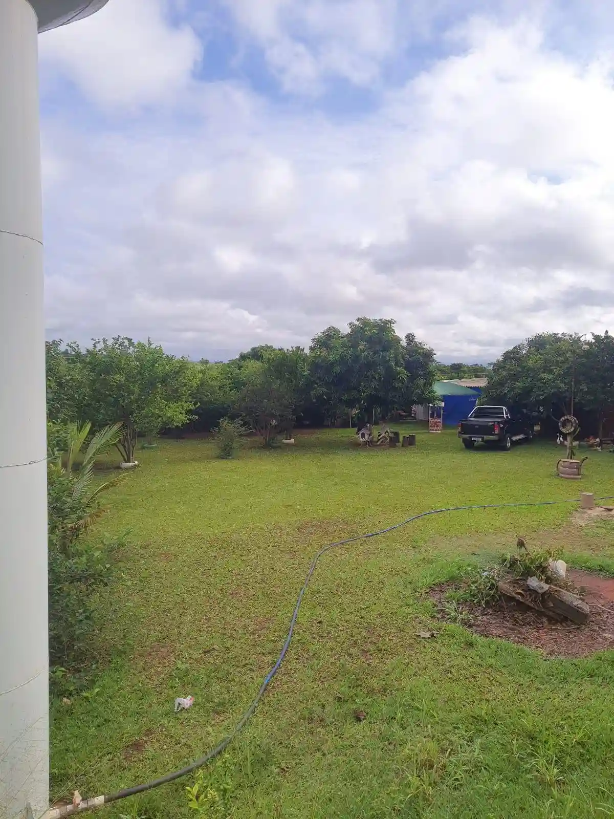 Fazenda / Sítio / Chácara com 1 quarto à venda, 1000m² — foto 7 de 15