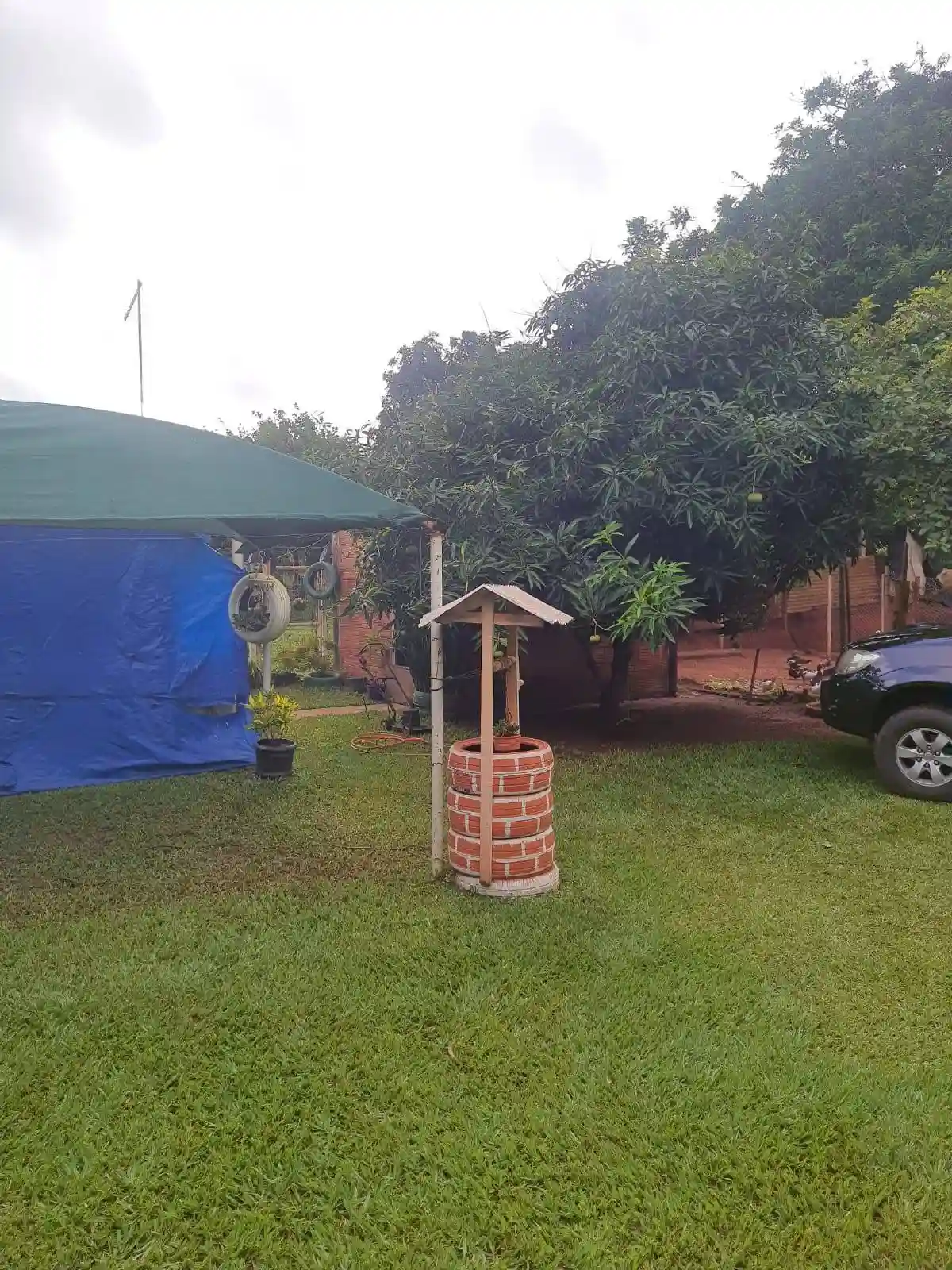 Fazenda / Sítio / Chácara com 1 quarto à venda, 1000m² — foto 6 de 15