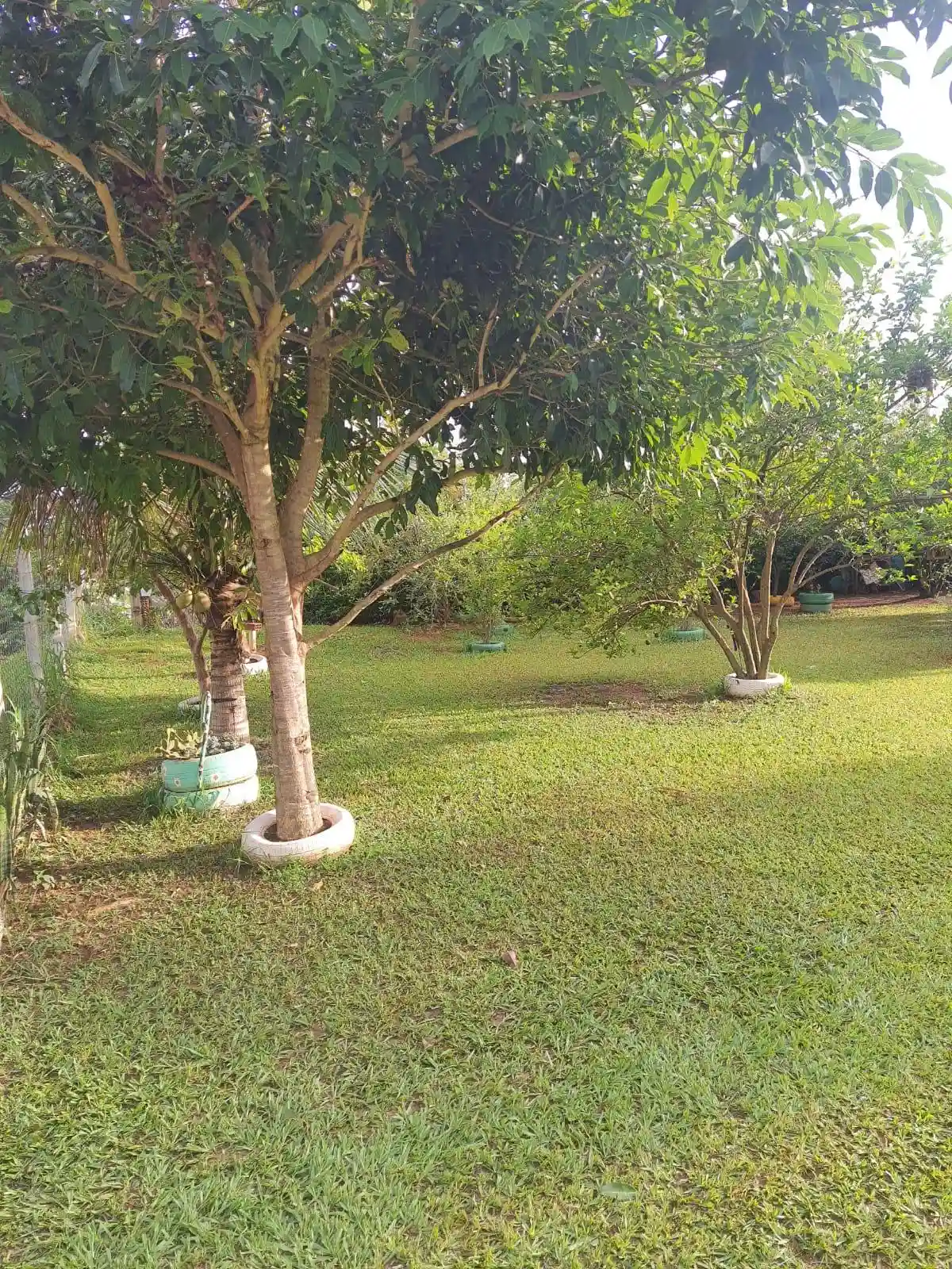 Fazenda / Sítio / Chácara com 1 quarto à venda, 1000m² — foto 10 de 15