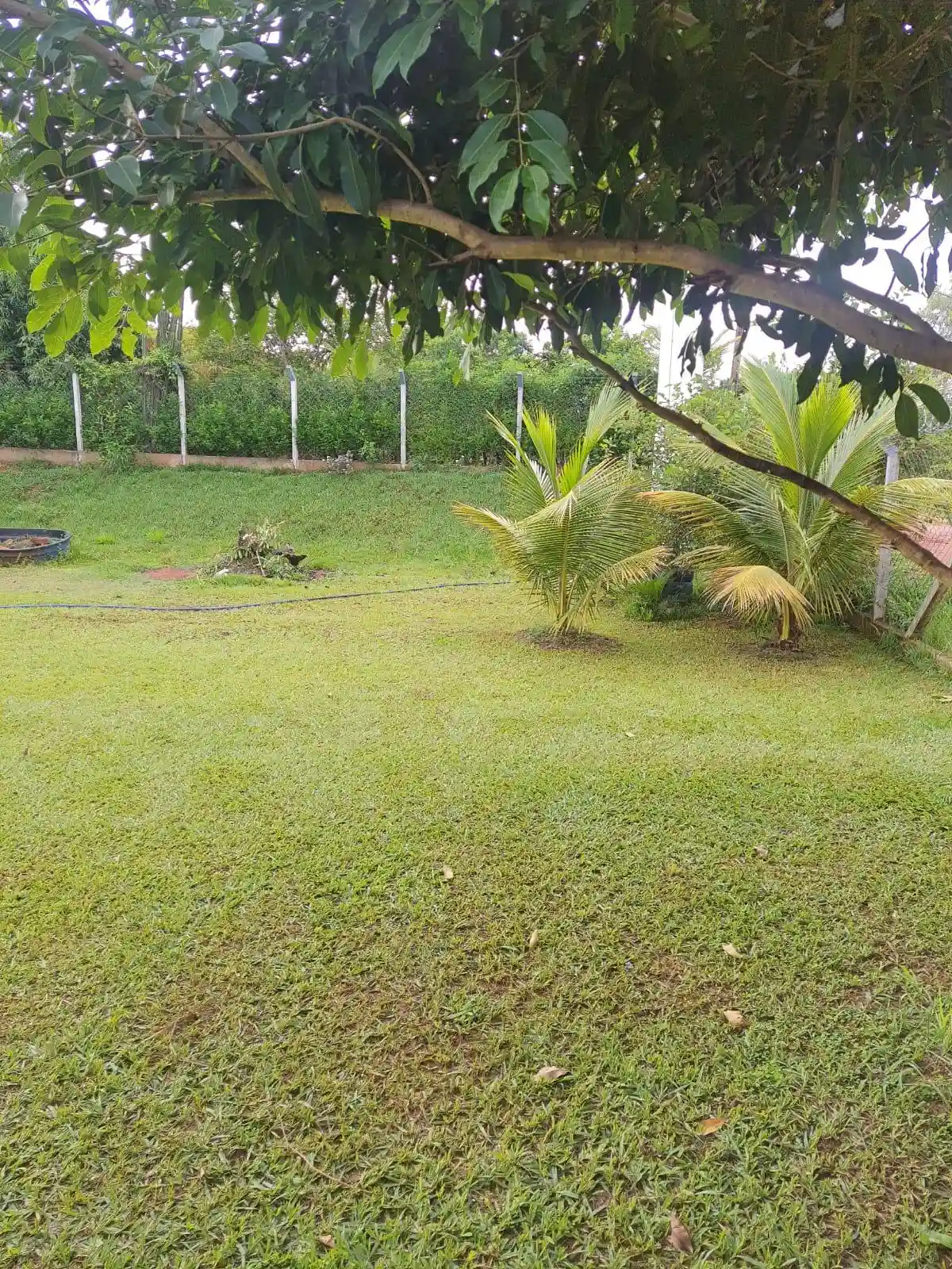 Fazenda / Sítio / Chácara com 1 quarto à venda, 1000m² — foto 3 de 15