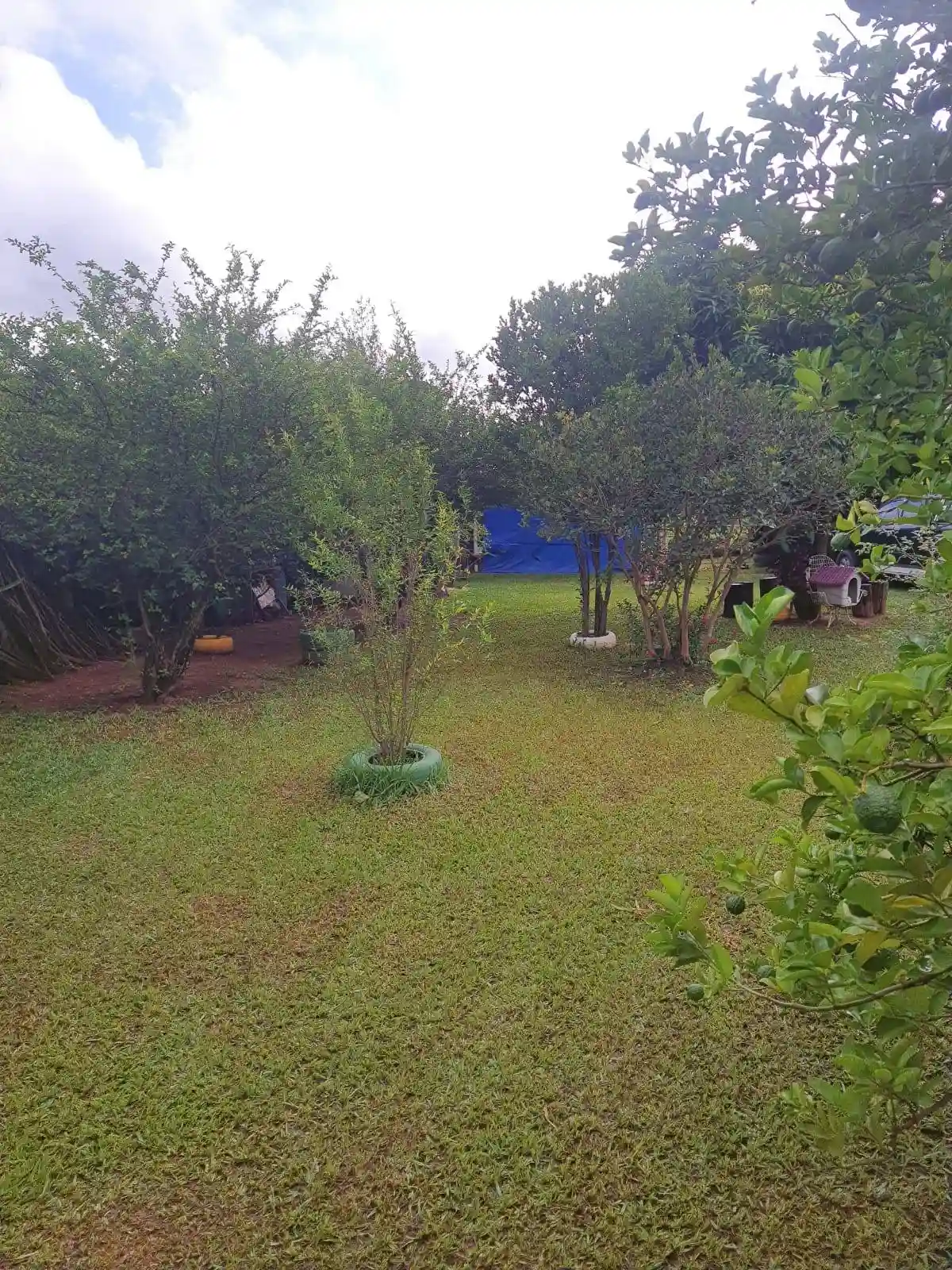 Fazenda / Sítio / Chácara com 1 quarto à venda, 1000m² — foto 11 de 15