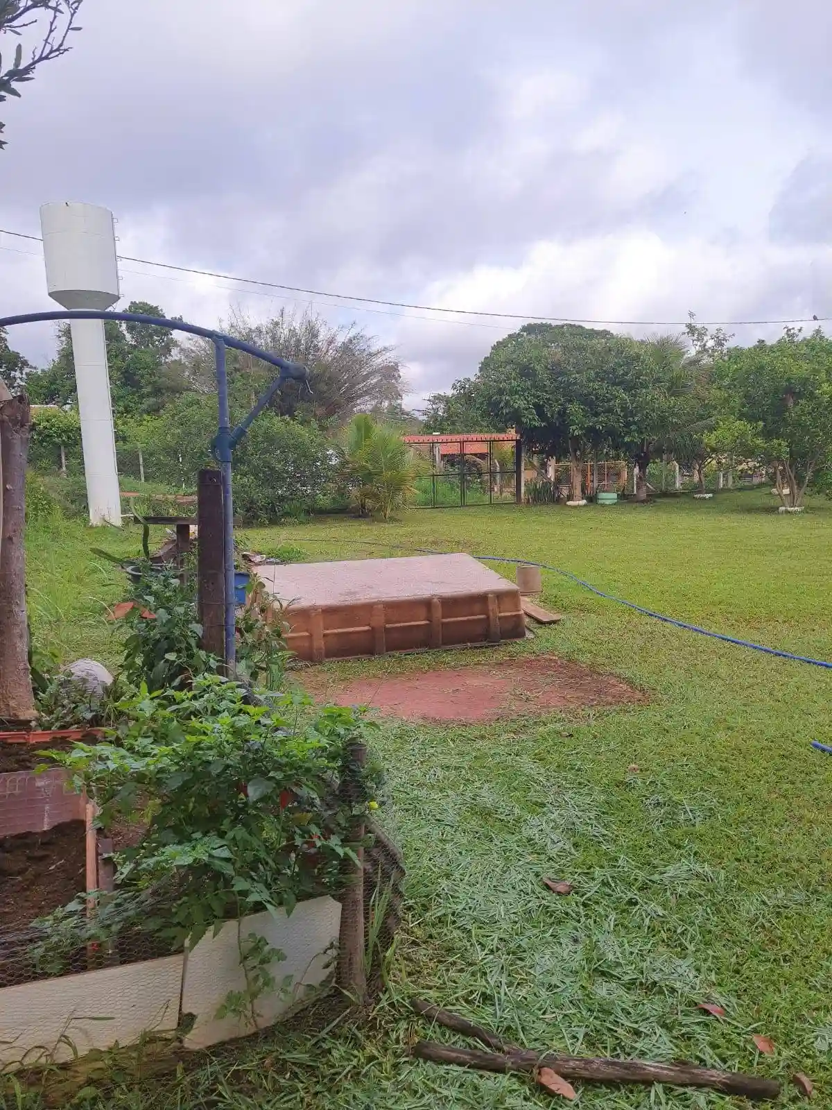 Fazenda / Sítio / Chácara com 1 quarto à venda, 1000m² — foto 2 de 15