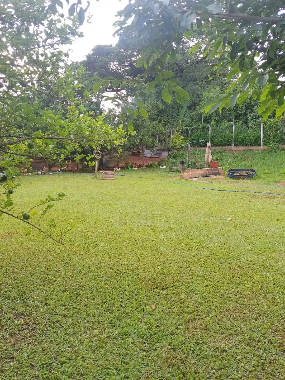 Fazenda / Sítio / Chácara com 1 quarto à venda, 1000m² — foto 8 de 15