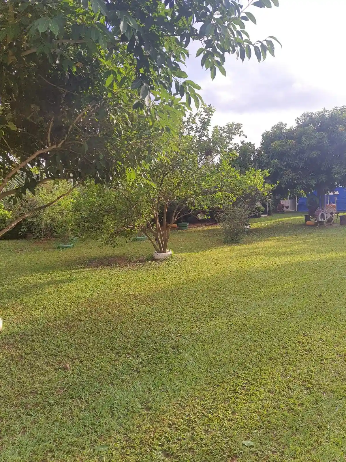 Fazenda / Sítio / Chácara com 1 quarto à venda, 1000m² — foto 4 de 15
