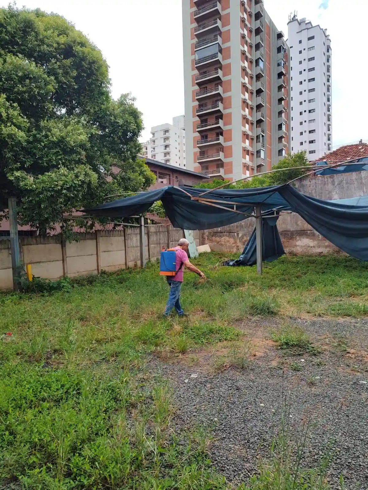 Área Comercial  à venda, 1392m² — foto 3 de 3