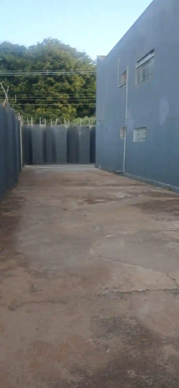 Casa Comercial  para aluguel, 350m² — foto 11 de 29