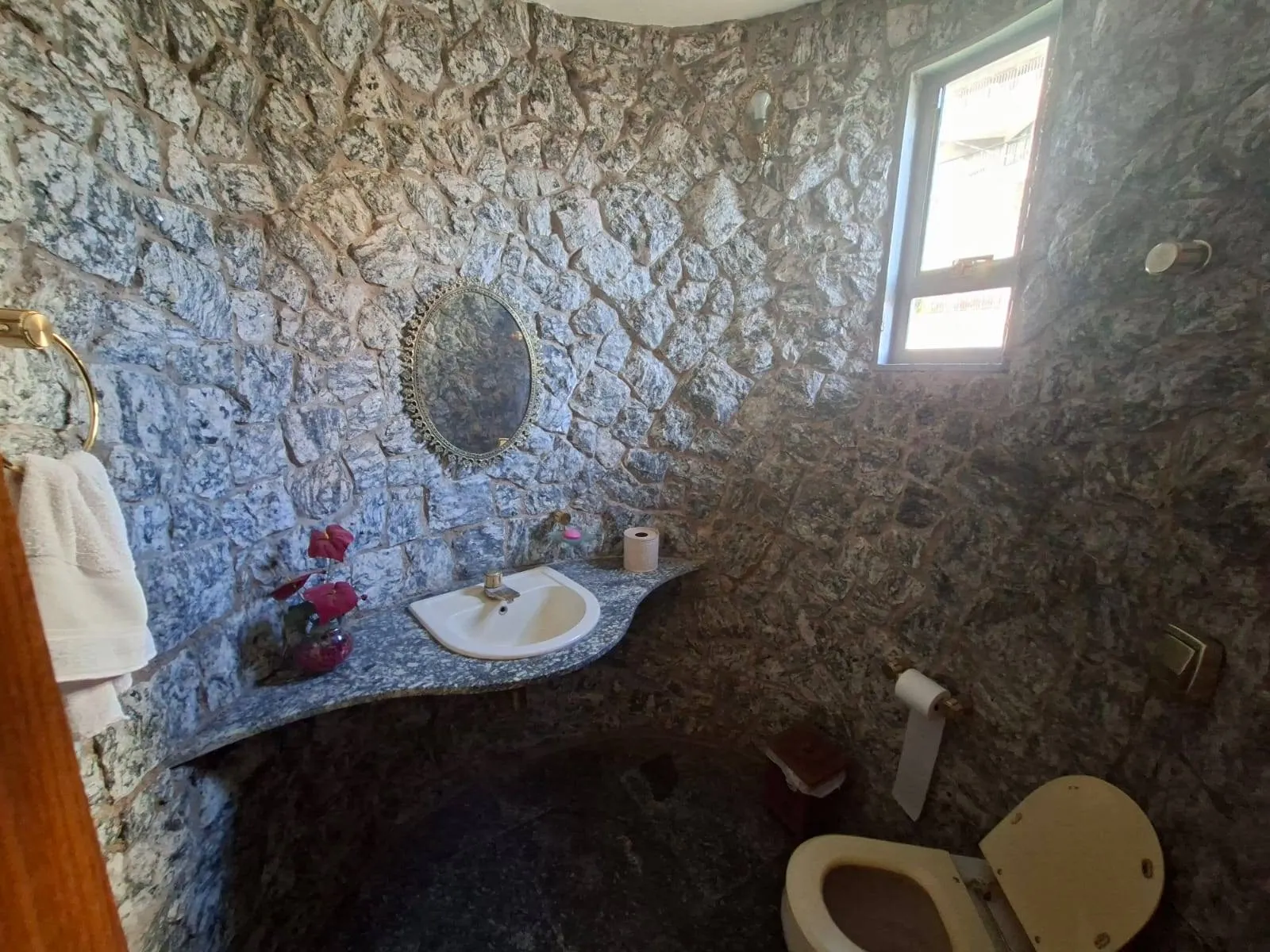 Casa com 4 quartos à venda, 510m² — foto 49 de 50