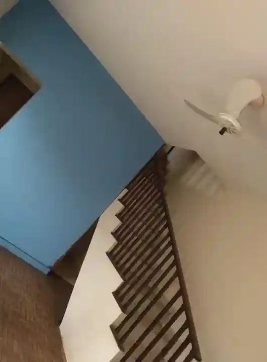 Casa com 5 quartos à venda, 242m² — foto 4 de 6
