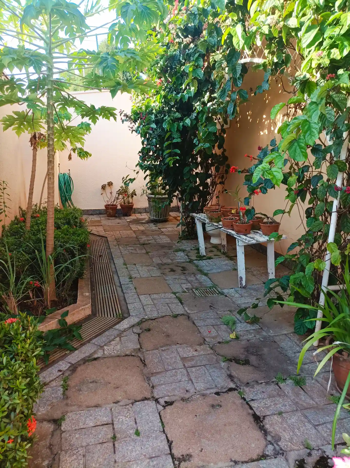 Casa  à venda, 400m² — foto 5 de 6