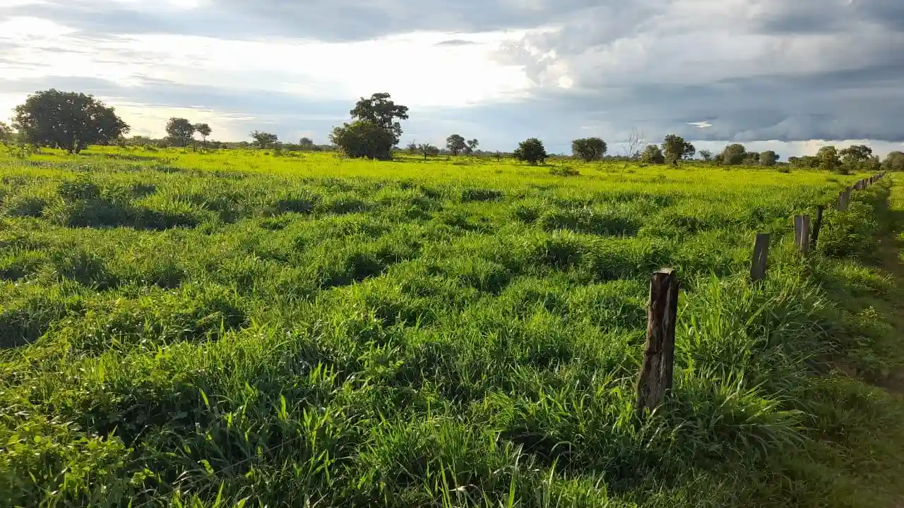 Fazenda / Sítio / Chácara  à venda, 28000000m² — foto 4 de 13