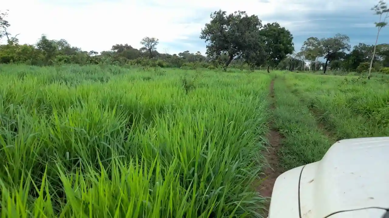 Fazenda / Sítio / Chácara  à venda, 28000000m² — foto 11 de 13