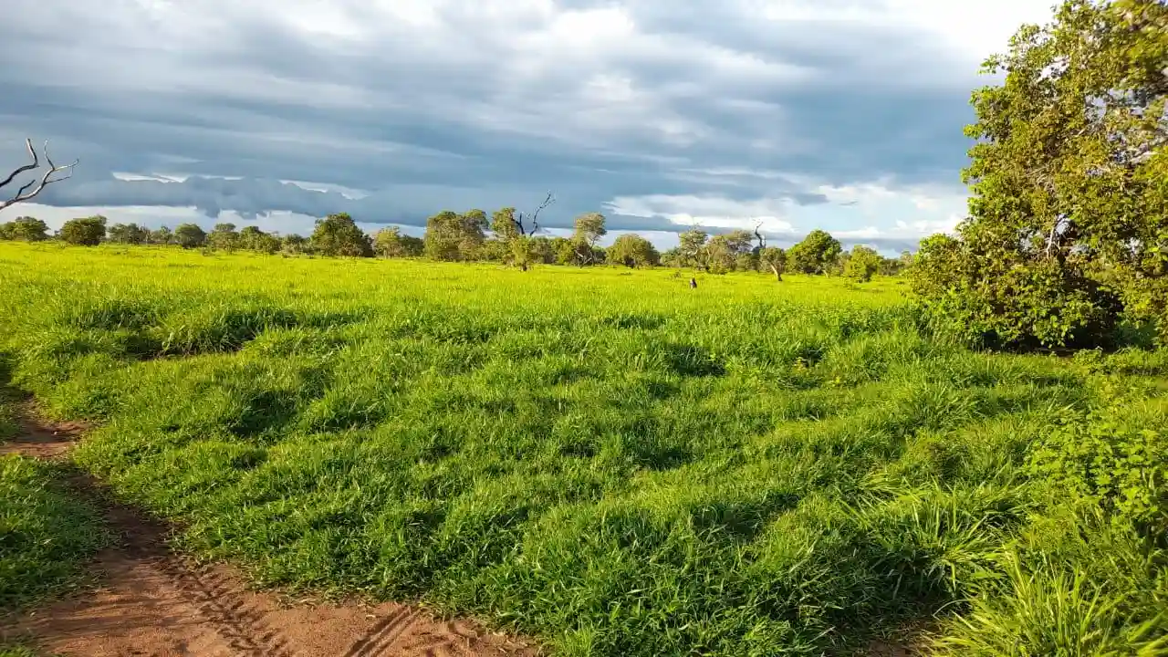 Fazenda / Sítio / Chácara  à venda, 28000000m² — foto 3 de 13