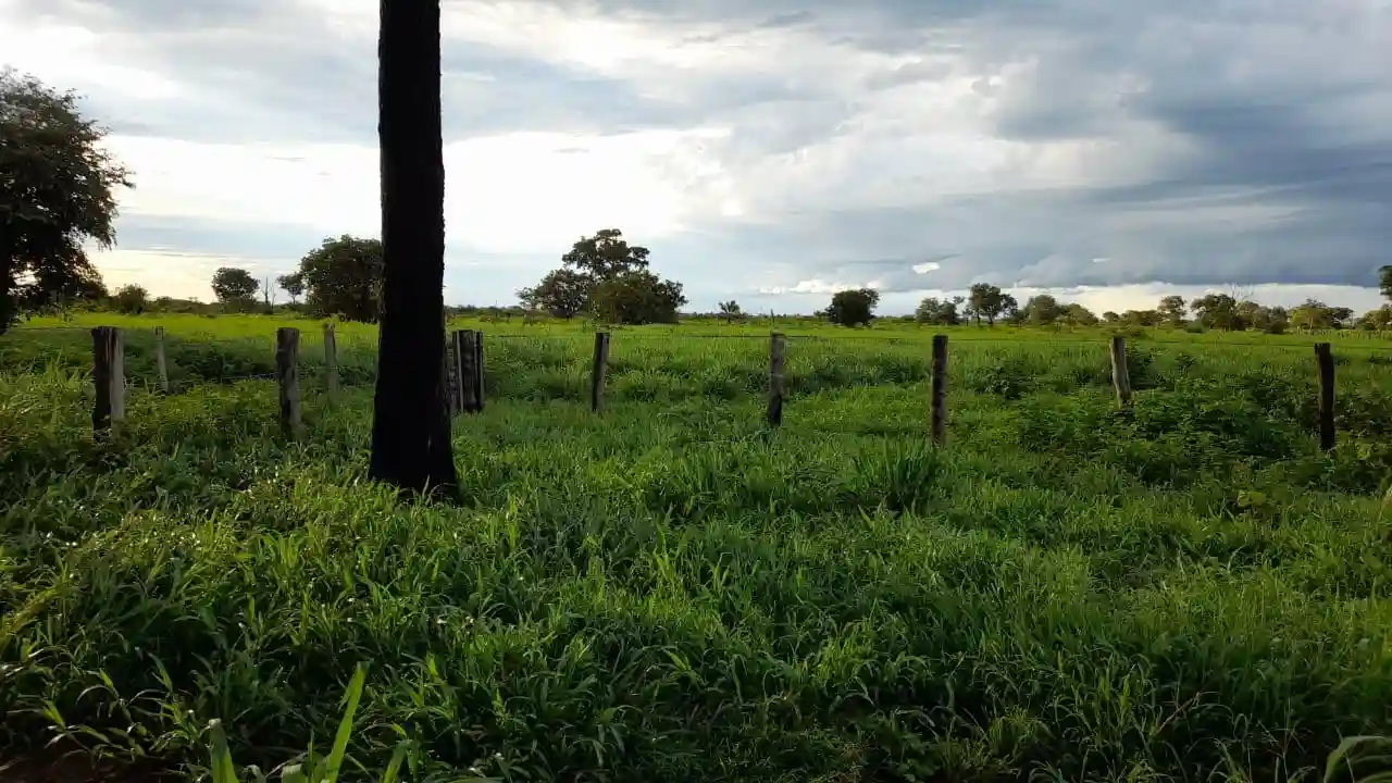 Fazenda / Sítio / Chácara  à venda, 28000000m² — foto 6 de 13
